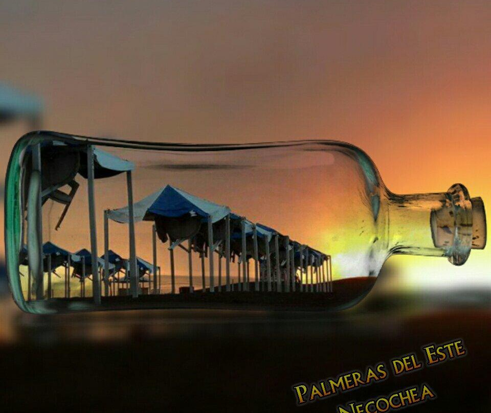 Balneario palmeras del este景点图片