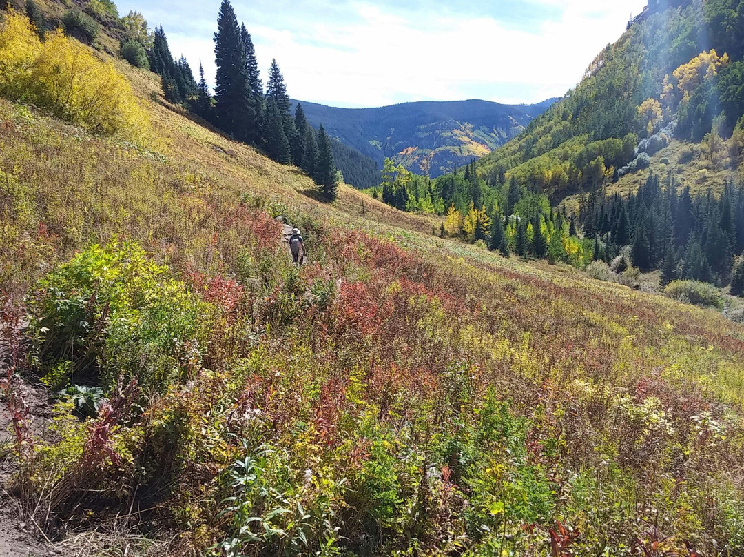 Booth Falls-韦尔必去景点