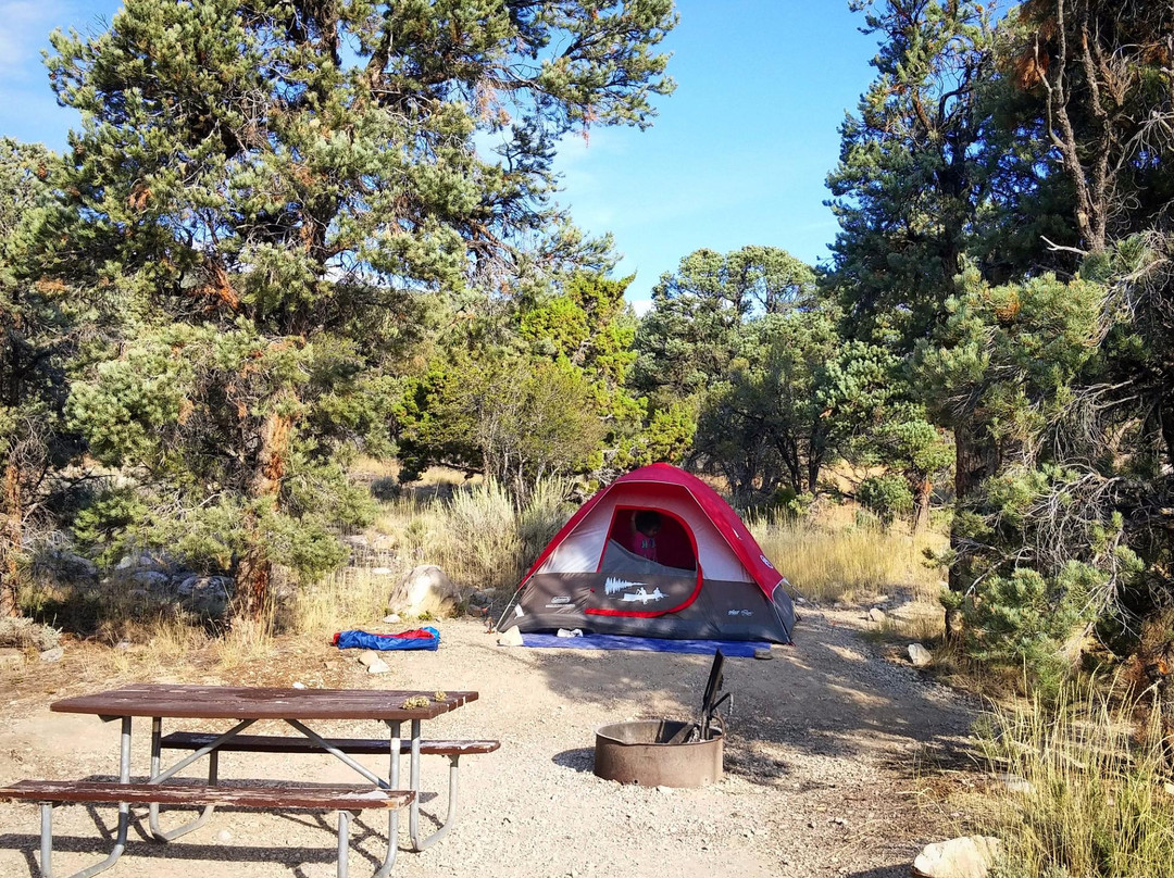 Great Basin National Park-Baker必去景点
