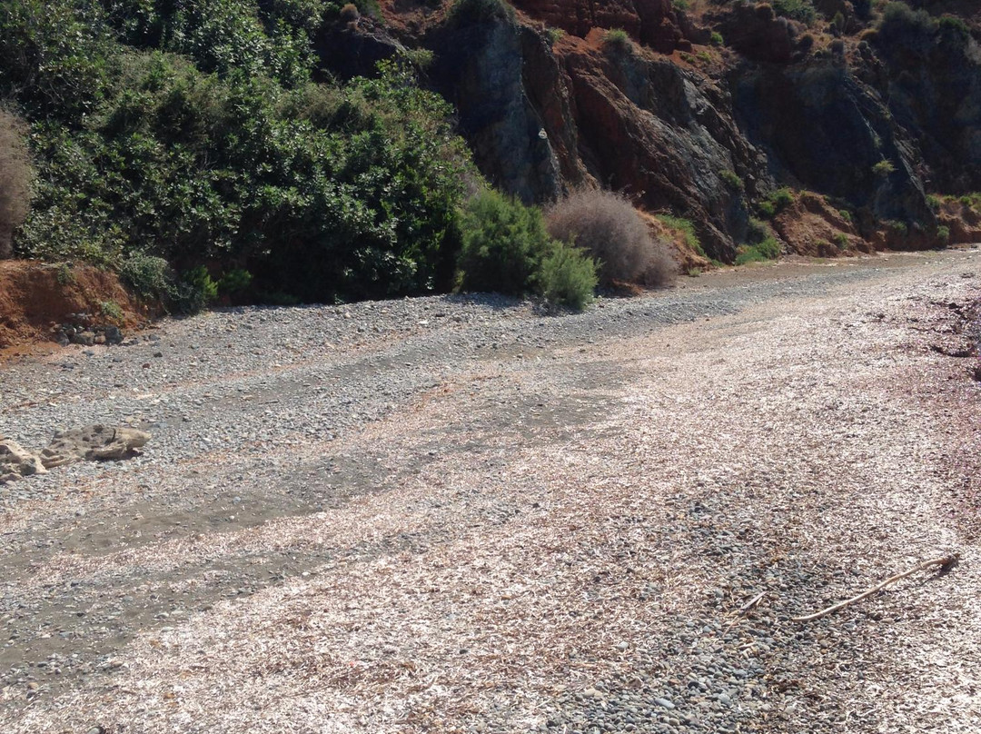 Paradise Place-帕福斯必去景点