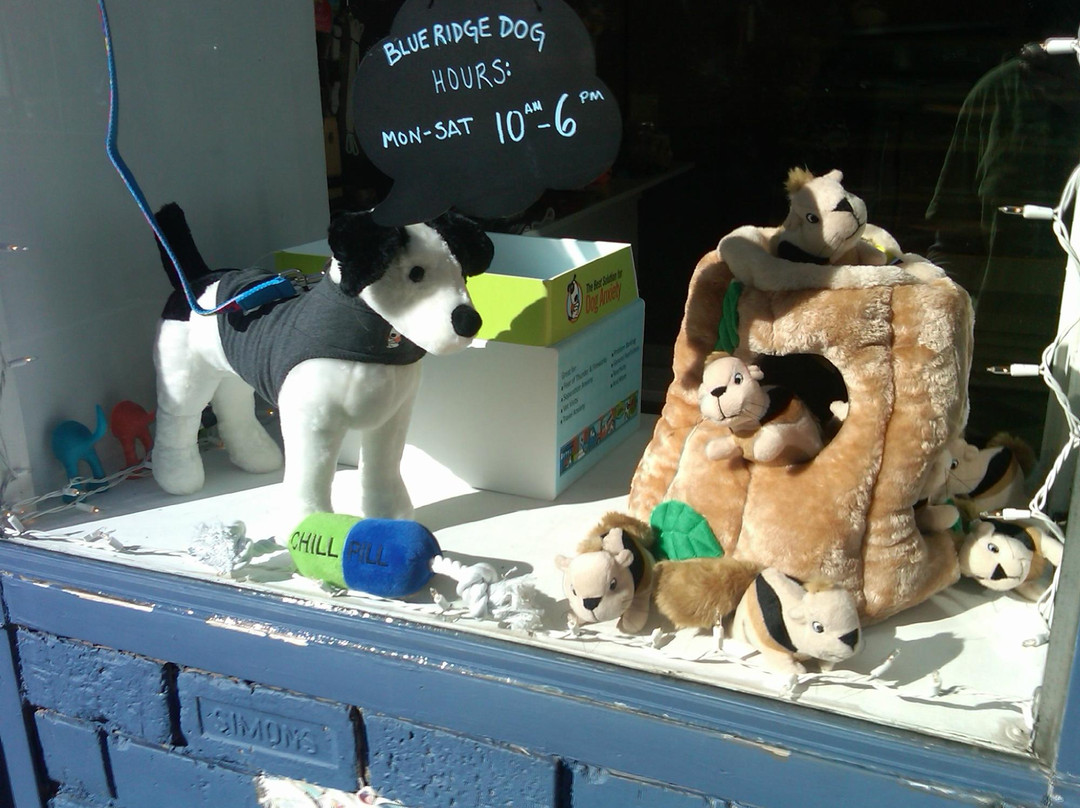 Blue Ridge Dog-哈里森堡必去景点