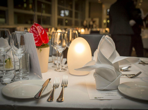 The Apprentice主图