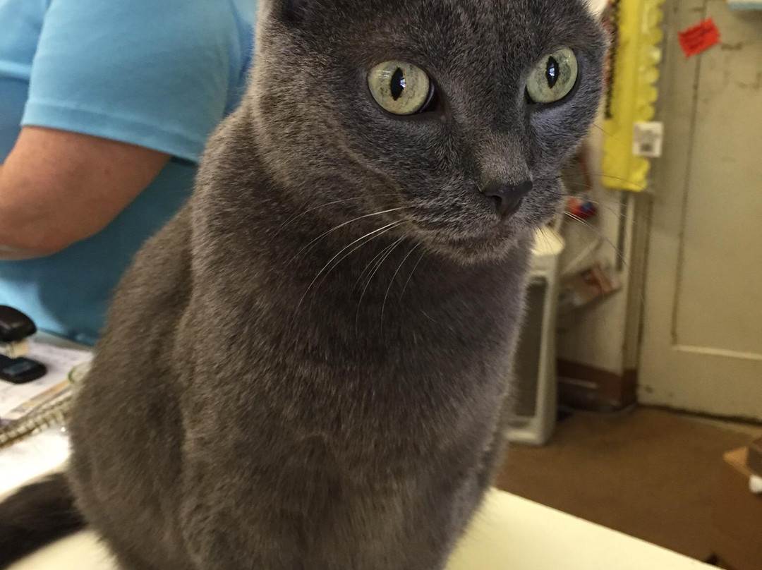 Penny Court Antiques-Cambridge必去景点