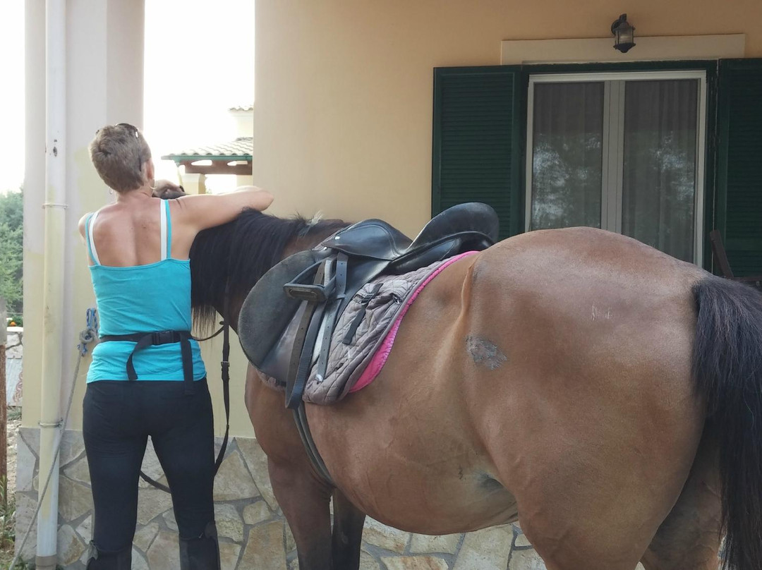 Horse Riding Kourkoumeli-科孚必去景点