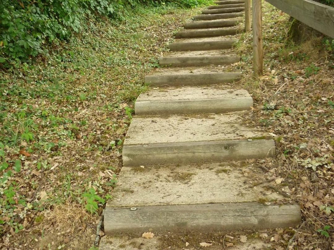 Ultreia Moissac主图