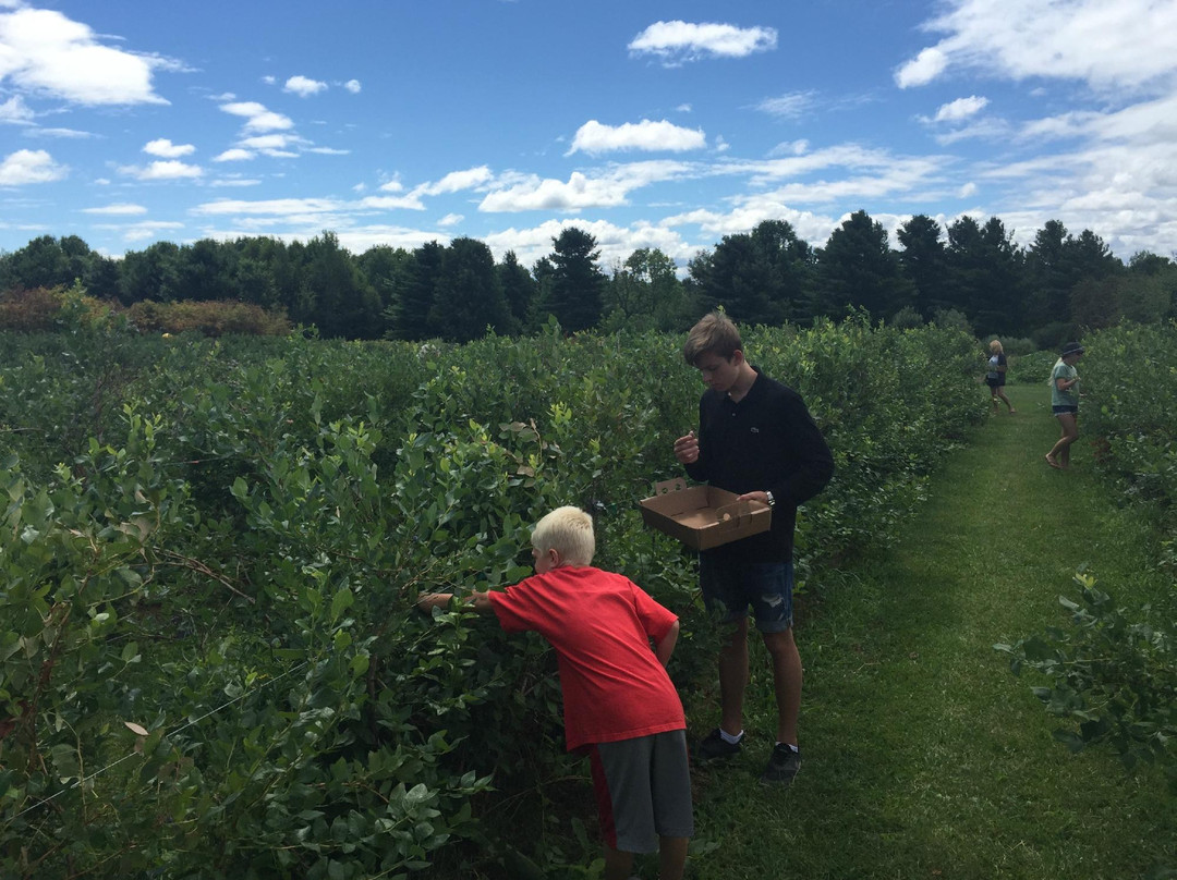 Blue Vista Farm-Bayfield必去景点