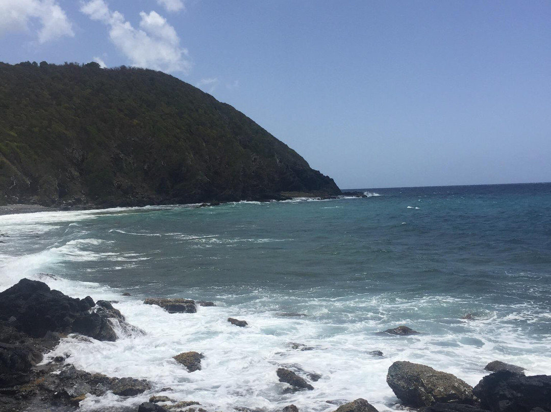 Carambola Tide Pools-圣克鲁斯必去景点