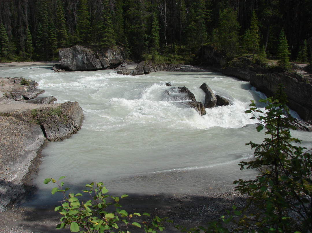 Kicking Horse River-戈尔登必去景点