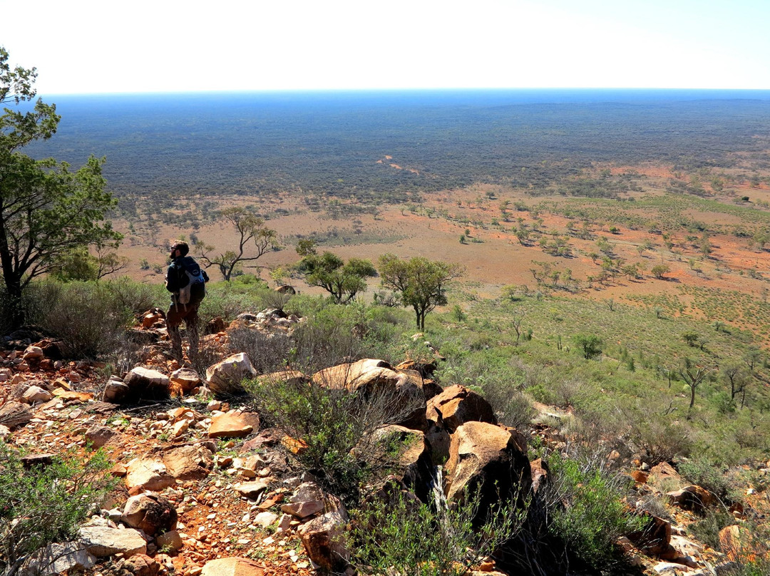 Gundabooka National Park