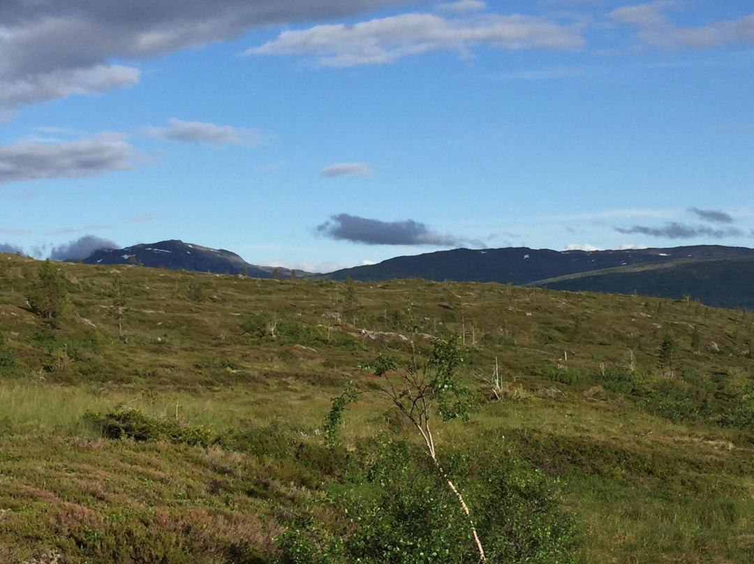 Skarvan and Roltdalen National Park景点图片