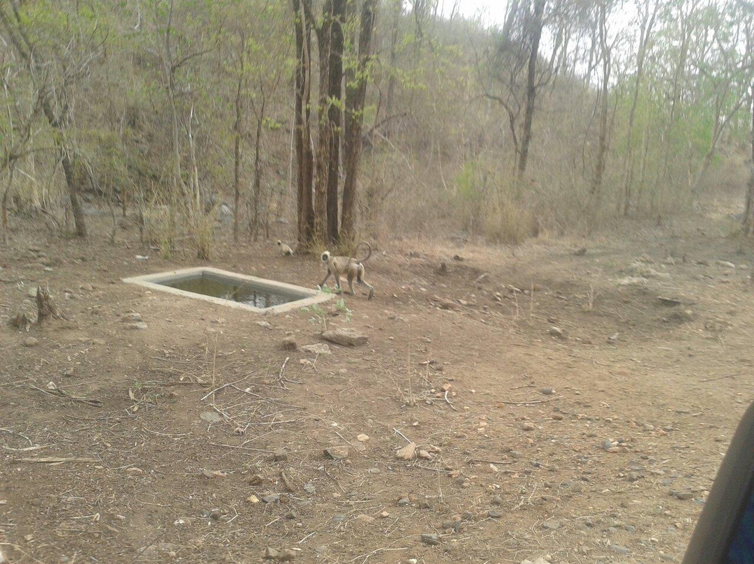 Palamau Tiger Reserve-Palamu District必去景点