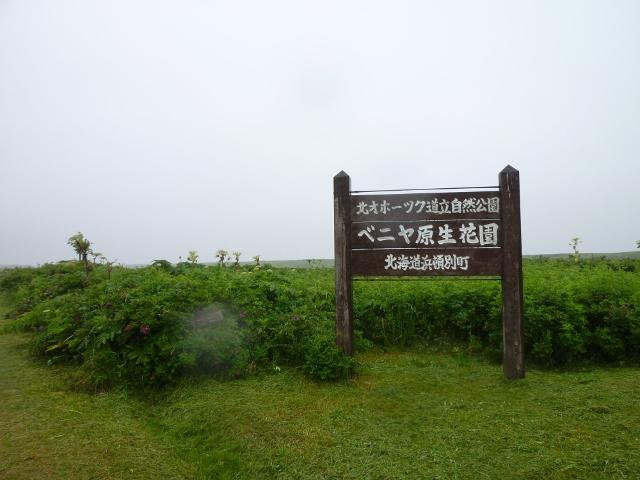 Veneer Nature Flower Garden-滨顿别町必去景点