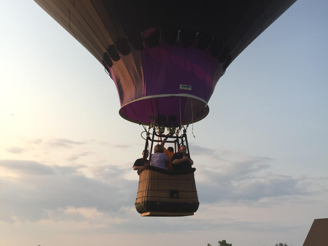 Majestic Balloon Flights景点图片