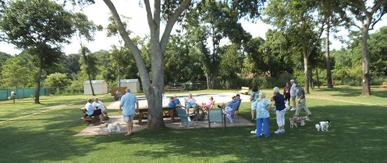 Nassau Humane Society Dog Park-费尔南迪纳岛必去景点