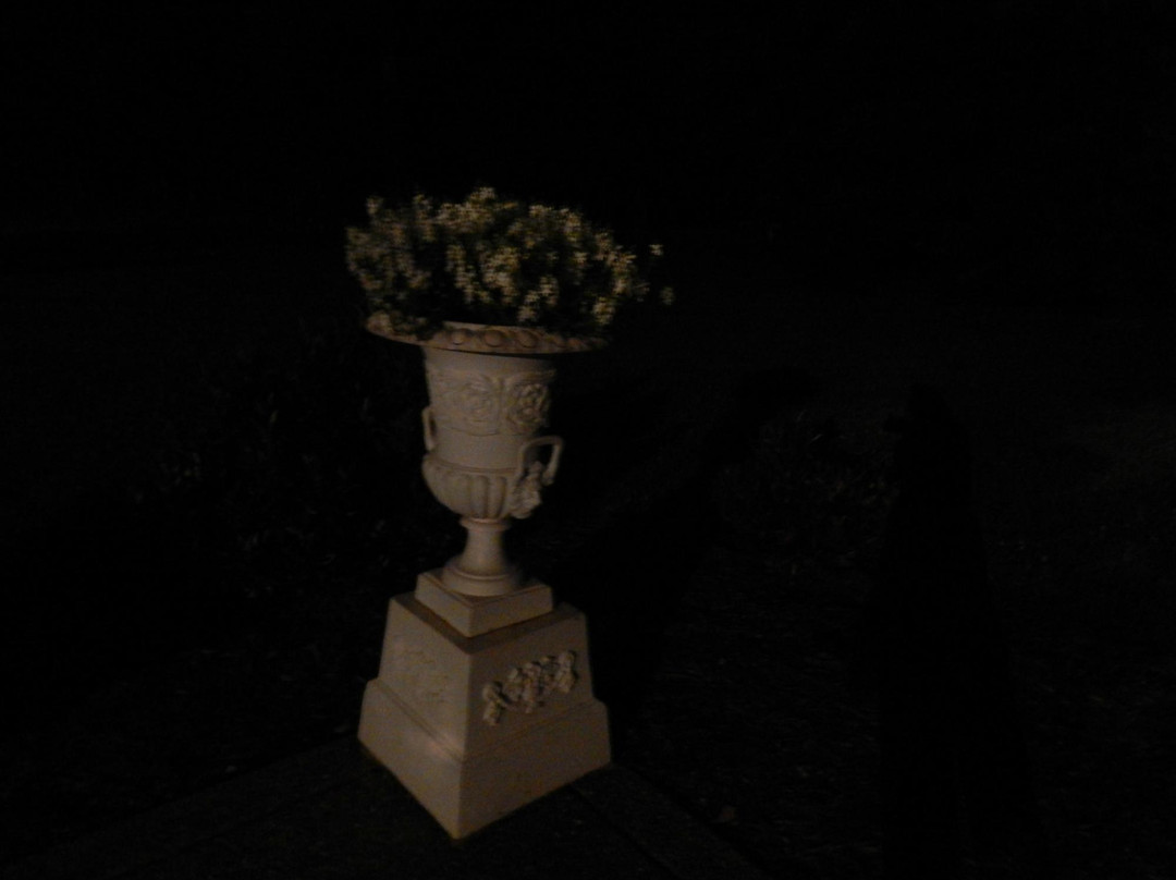 The Manor at Twin Oaks Bed and Breakfast主图