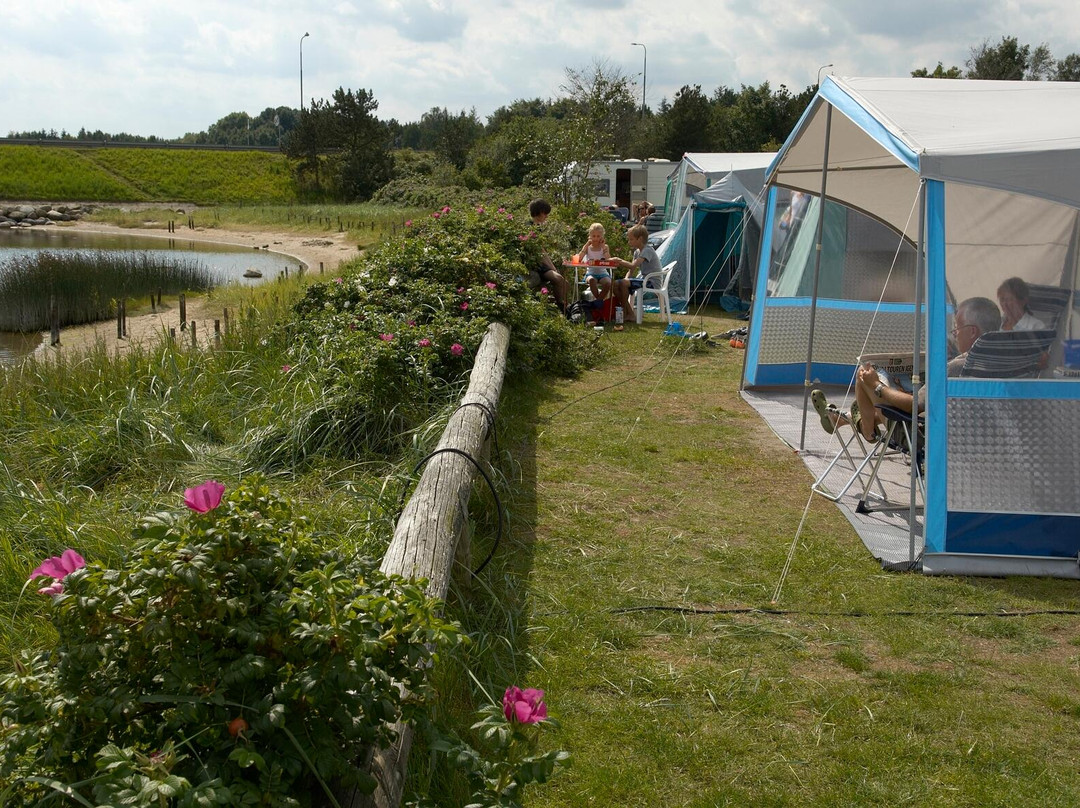 Virksund Camping