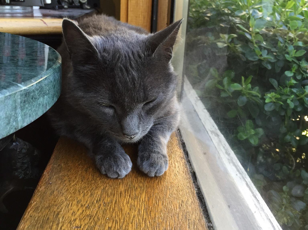 Overshine Wine Co.-希尔兹堡必去景点