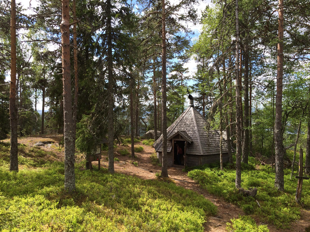 Järvsöklacken Naturreserv景点图片