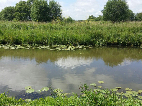 Maison du parc naturel regional des Marais du Cotentin et du Bessin-Saint-Come-du-Mont必去景点
