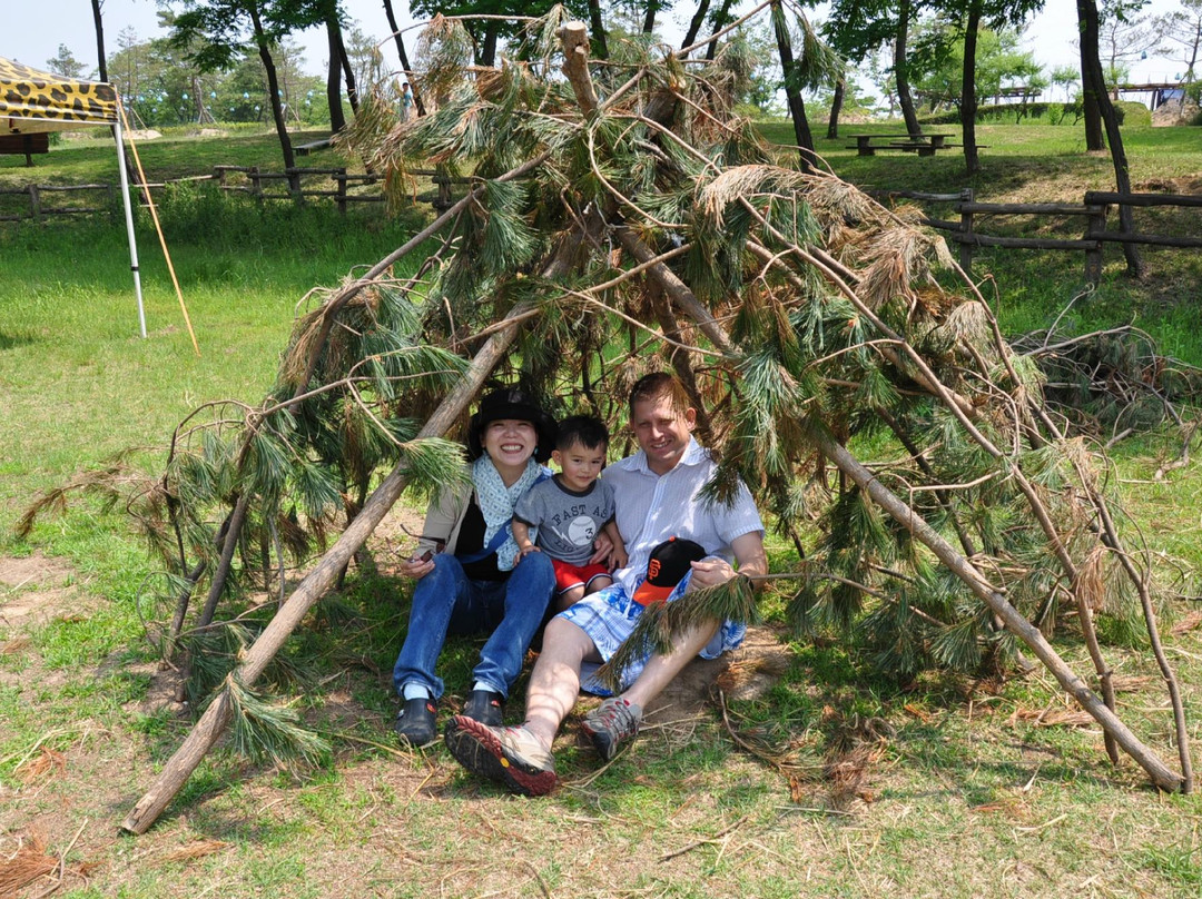 Jeongok-ri Prehistoric Site-涟川郡必去景点