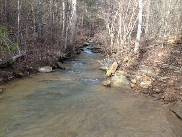 The Ridge Adventure Park-Springville必去景点