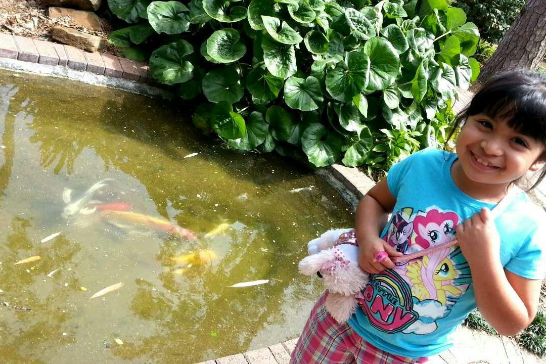 Mercer Botanic Gardens-汉布尔必去景点