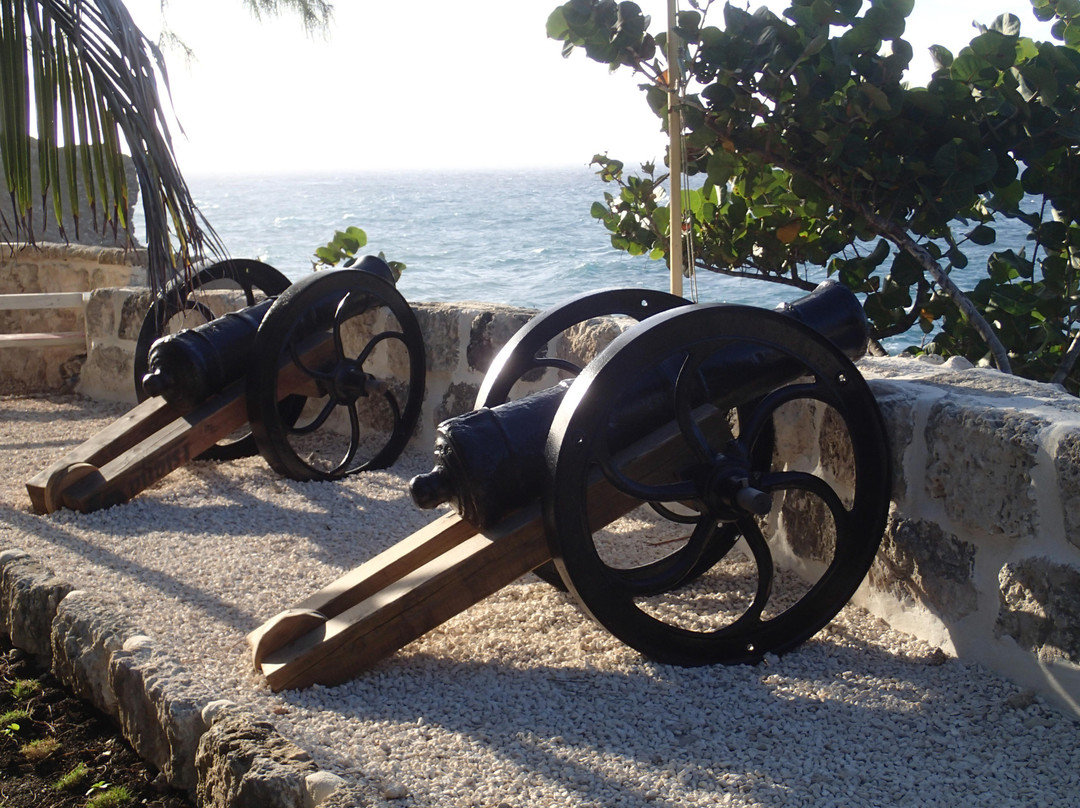 Animal Flower Cave-Saint Lucy Parish必去景点