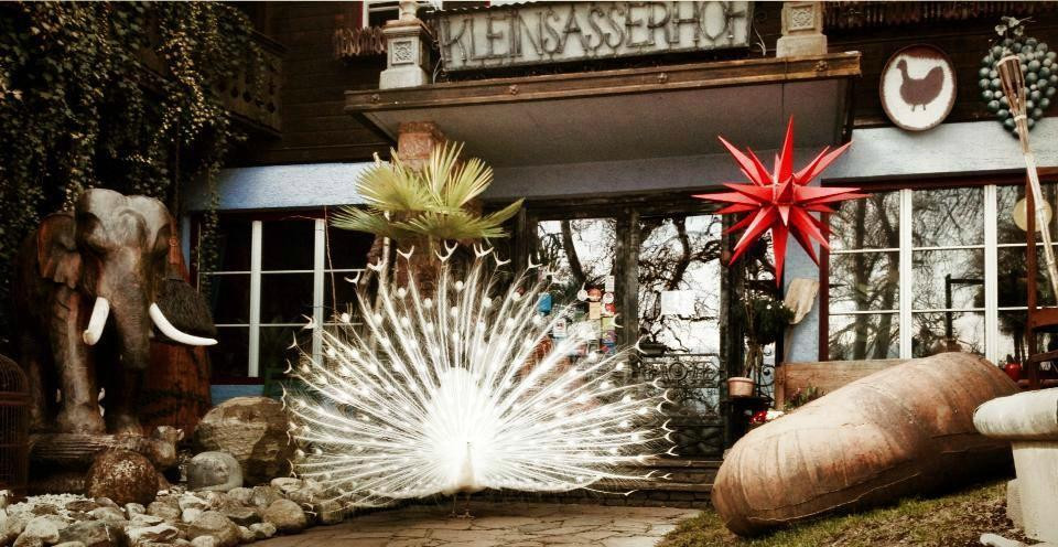 凯莱萨斯霍夫旅馆主图