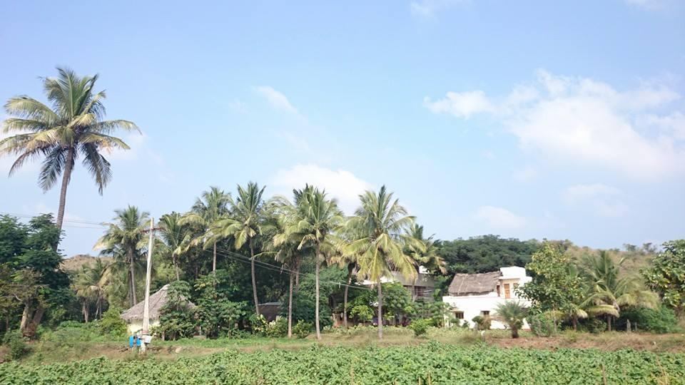 Tiru Farm Guest House-官方