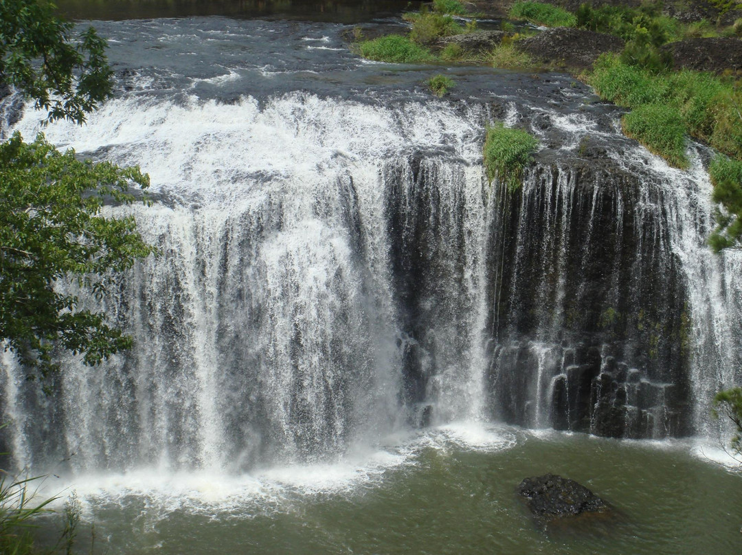 Millstream Falls National Park-Ravenshoe必去景点