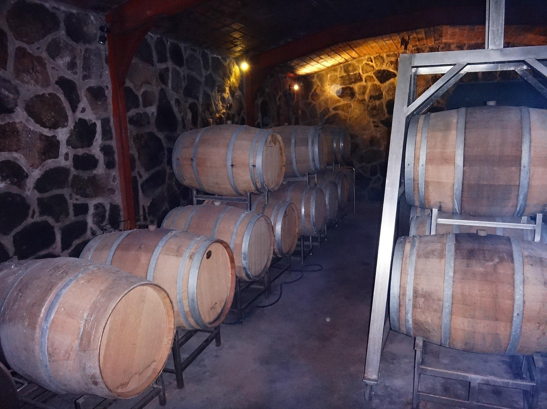 Finca Atos景点图片