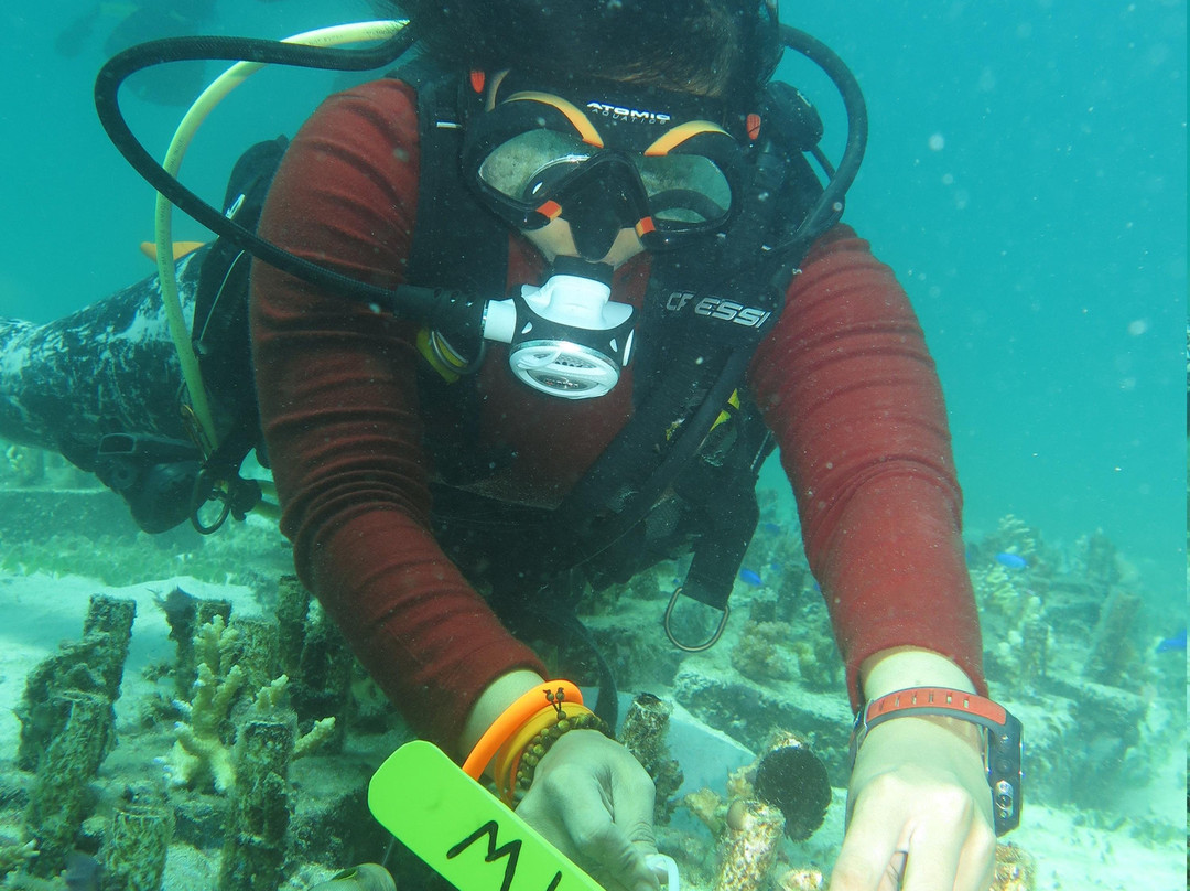 Selayar Island Resort主图