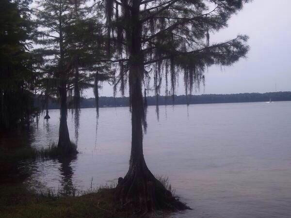 Florala State Park景点图片