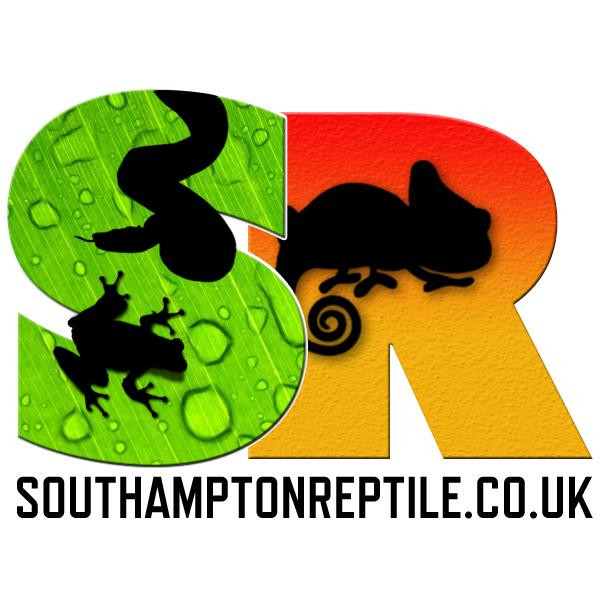 Southampton Reptile景点图片