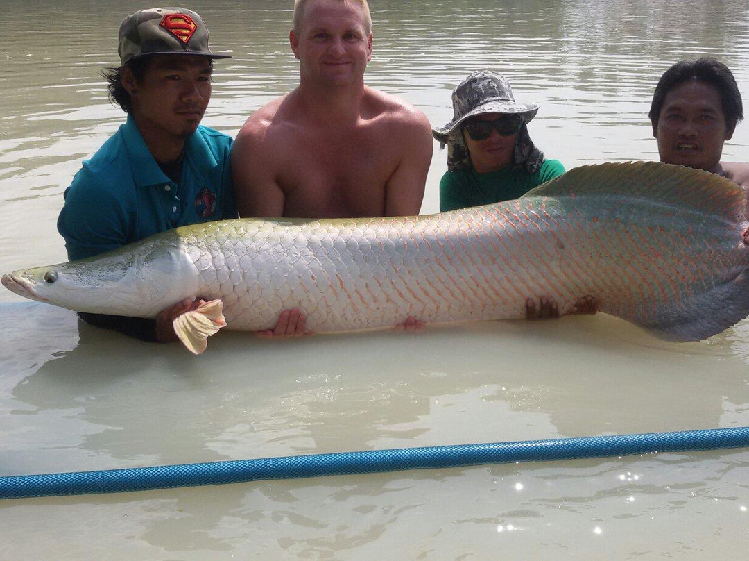 TopCats Fishing Resort-塔林必去景点