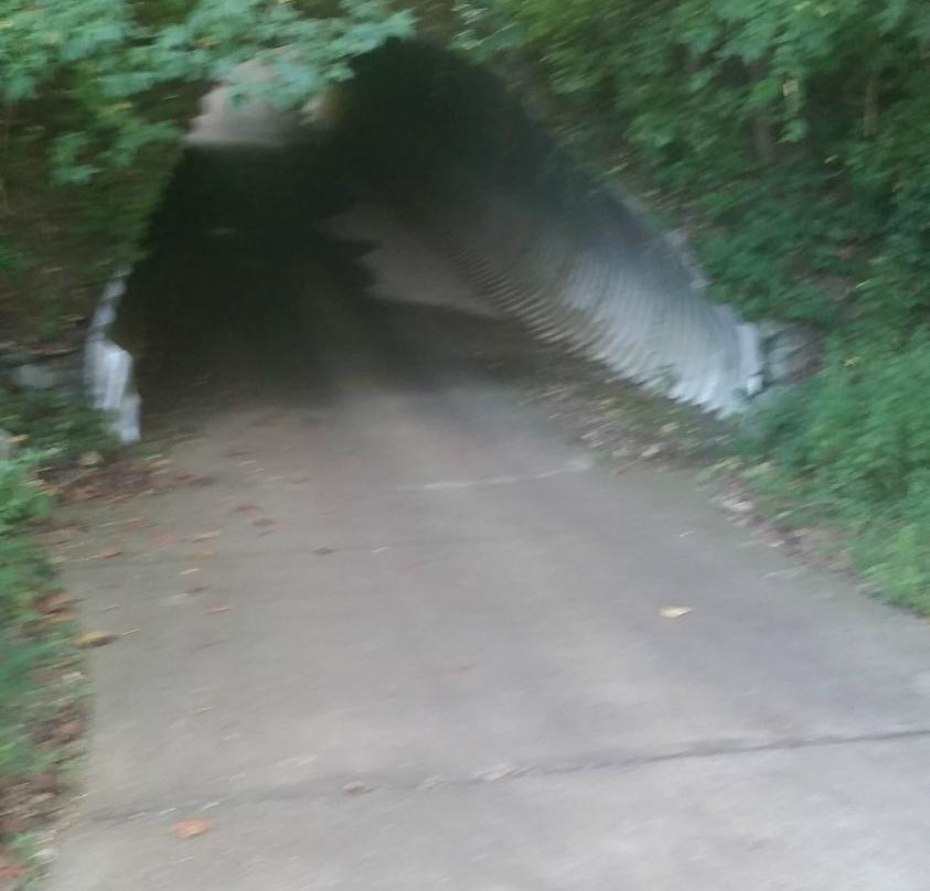 Chestatee Golf Club-道森维尔必去景点