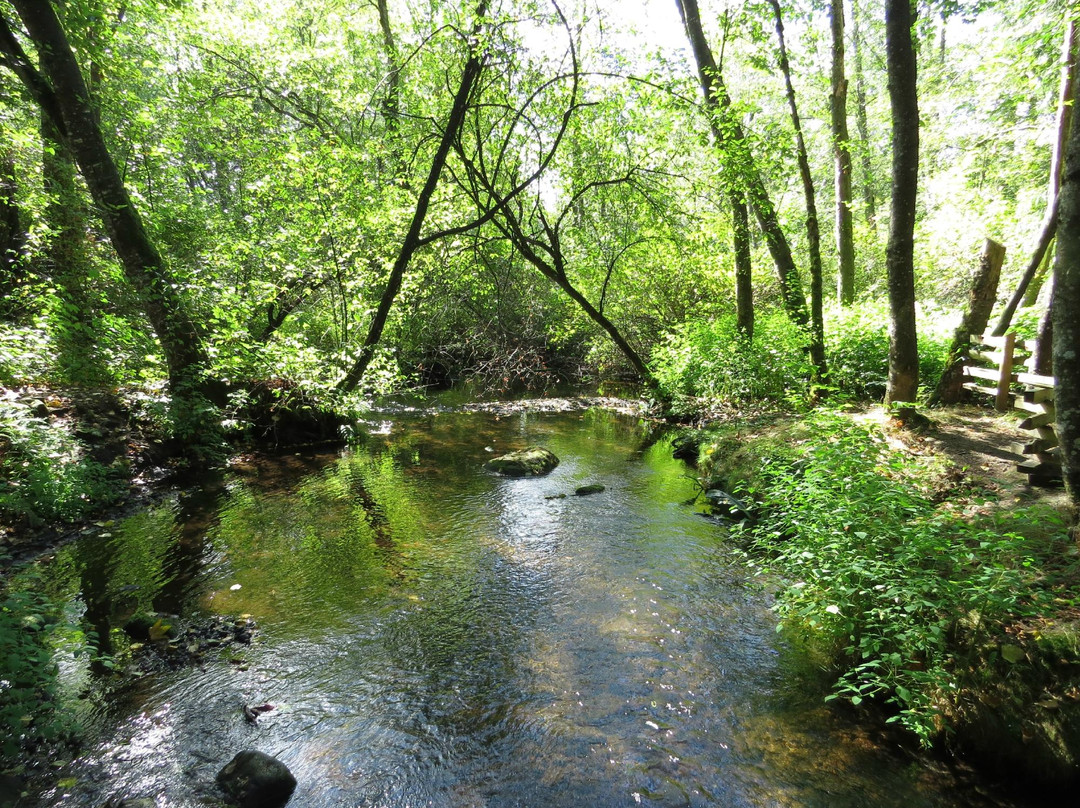 Aldergrove旅游攻略图片