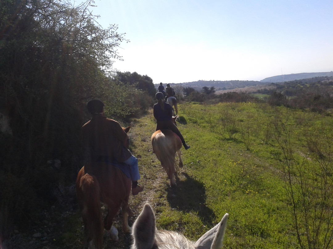 Horse Riding Paphos - Eagle Mountain Ranch-帕福斯必去景点