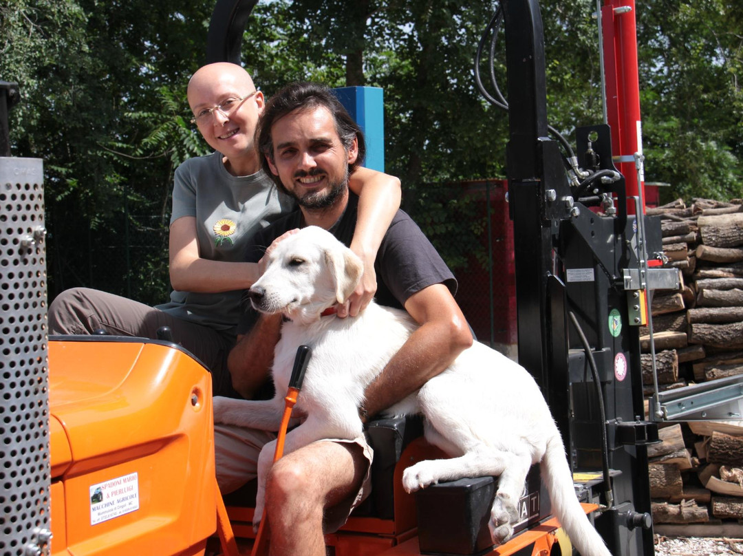 San Severino Marche酒店住宿-Agriturismo L' Isola Che Non C' Era