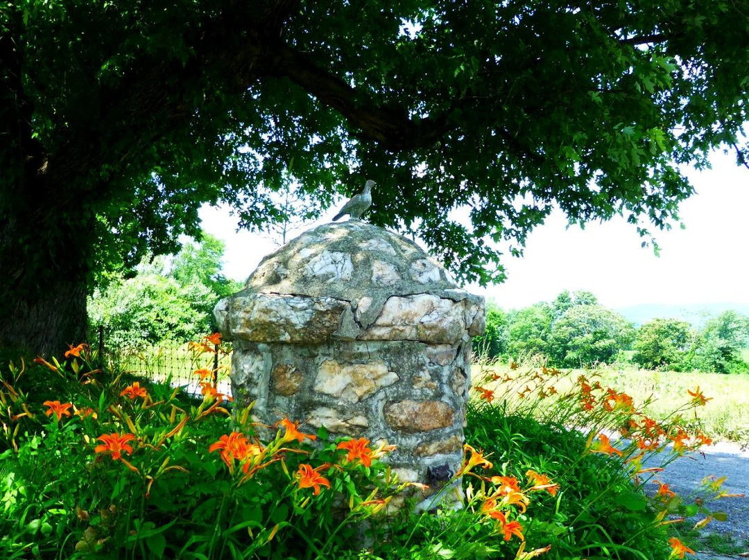 Fields Of Flowers景点图片