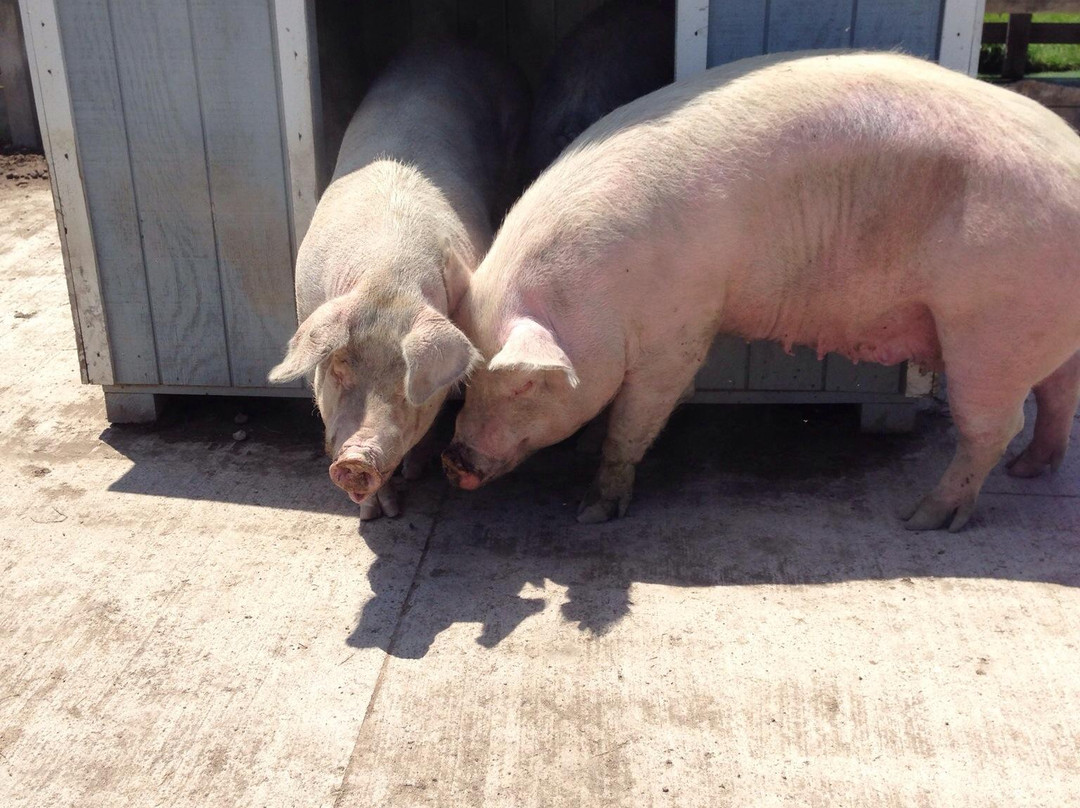 Lake Metroparks Farmpark-Kirtland必去景点