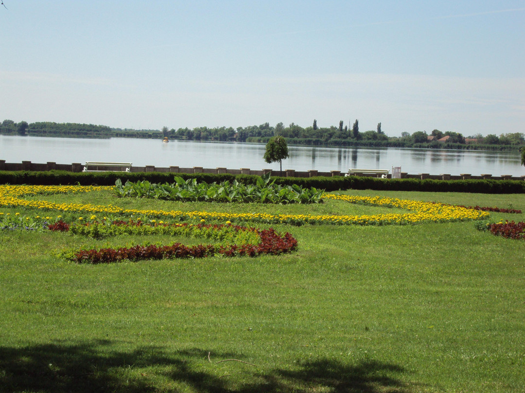 Palic Lake景点图片