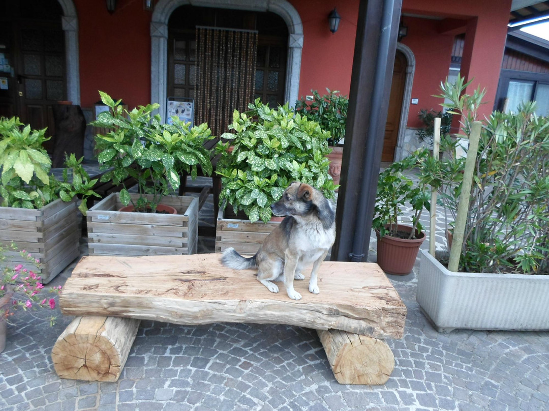 Nusco酒店住宿-Azienda Agrituristica Pericle
