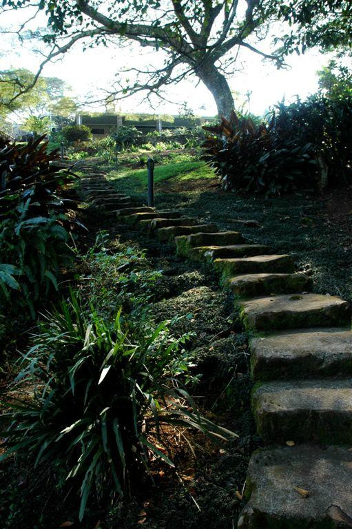 Grassroots Bed And Breakfast主图