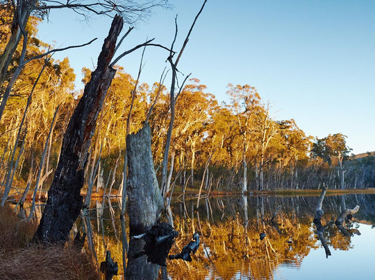Lake Cobbler-Alpine National Park必去景点