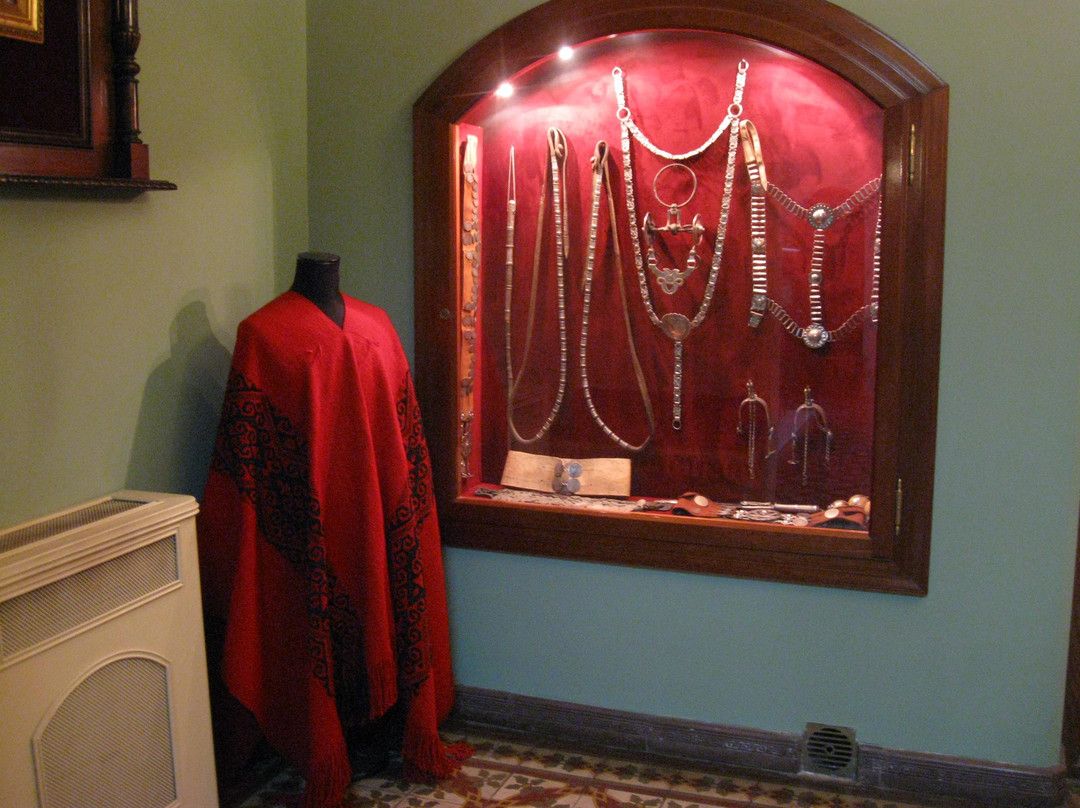 Museo Draghi景点图片