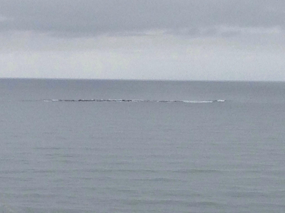 Ilha dos Lobos-Torres必去景点