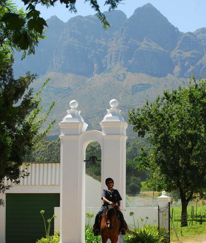 Fynbos Trails-惠灵顿必去景点