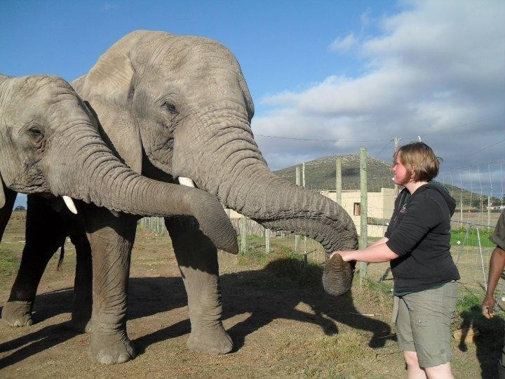 Umkhondo Big Five-阿尔贝蒂娜必去景点