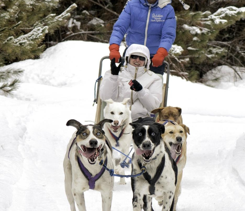 Timberland Tours-Bristol必去景点